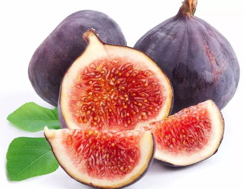 中秋養(yǎng)生佳肴 楊志敏教授推薦果品燉雞，溫潤團(tuán)圓好滋味