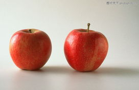 果中百味 從經(jīng)典圖庫走進(jìn)繽紛水果世界